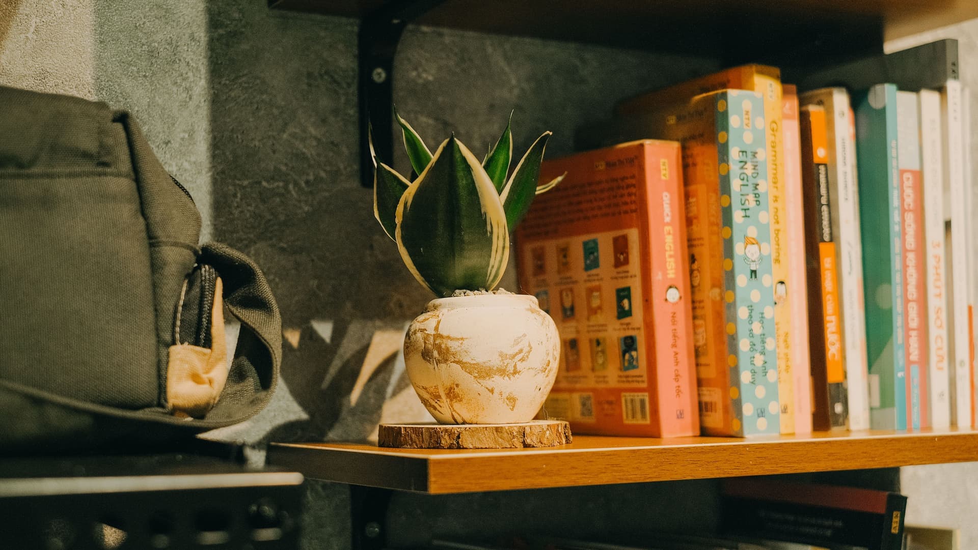 A wooden bookshelf holding books beside a small potted plant